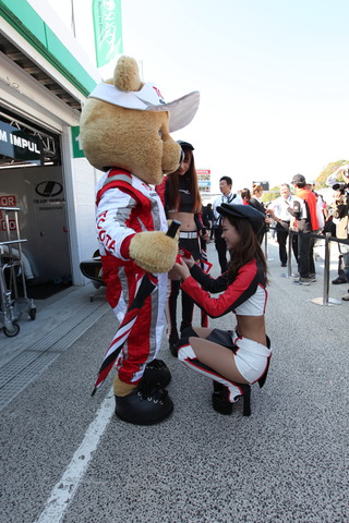 ピットウォーク: レースクイーンがトヨタくま吉に……