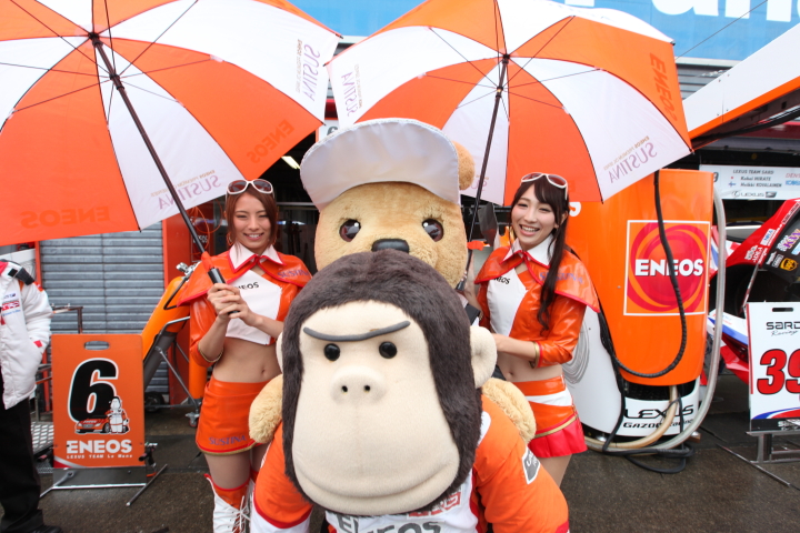 ピットウォーク: レースクイーン