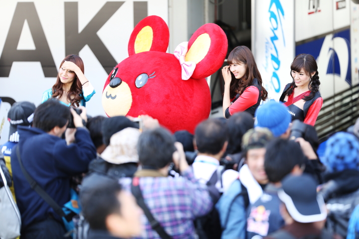 ピットウォーク: こぐまのコディ（KONDO RACING）