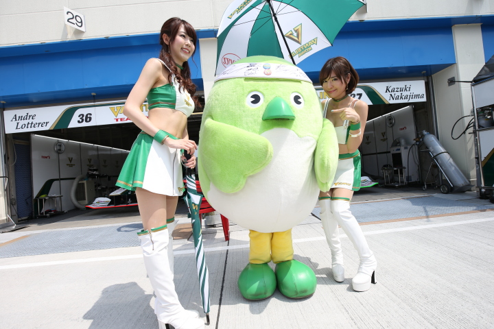 ピットウォーク: レースクイーン