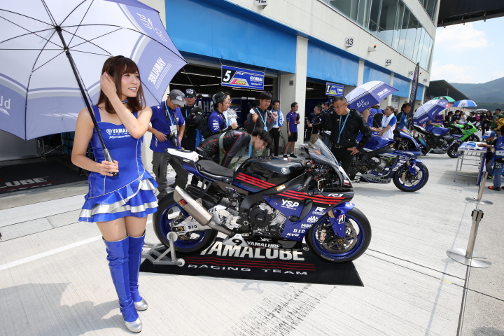 ピットウォーク: レースクイーン