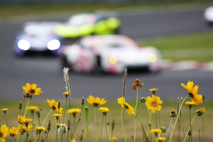 公式練習: 花を前景にヘアピンを立ち上がるGTマシン