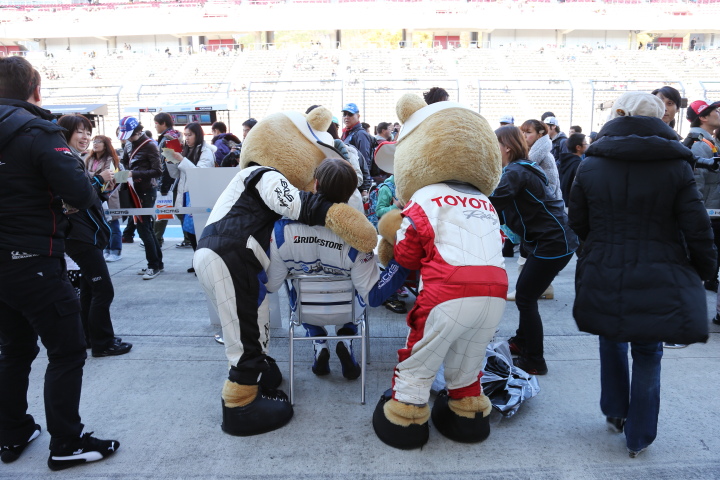 ピットウォーク: トヨタくま吉、レクサスくま吉、リチャード・ブラッドレ―（KCMG）