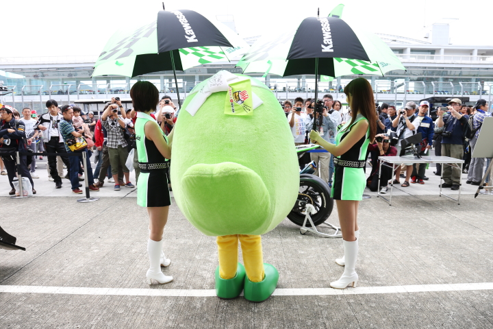 ピットウォーク: メジロンもカワサキチームに現れた