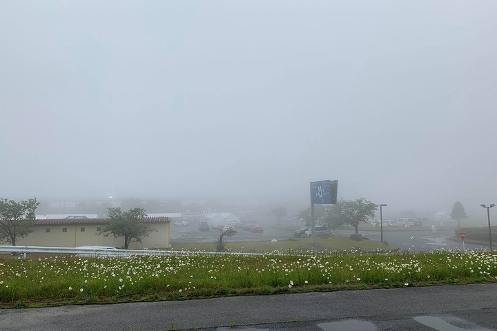 決勝は視界不良のためキャンセルされた
